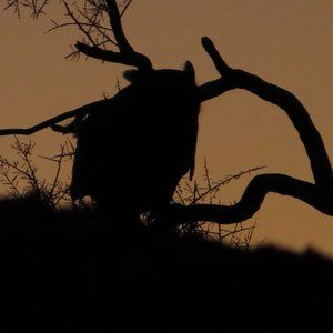 Meet your Posher, Zsuzsanna